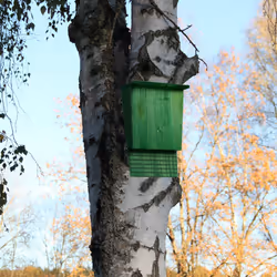 Relaxdays - Abri à chauves-souris, large refuge pour chauvesouris, HxLxP : 37 x 22 x 12,5 cm, nichoir, bois, vert