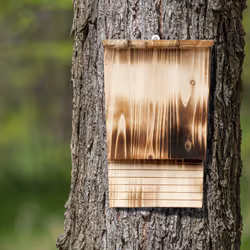 Relaxdays - Abri à chauves-souris, large refuge pour chauvesouris, HxLxP : 37 x 22 x 12,5 cm, nichoir, bois flammé, nature