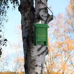 Relaxdays - Abri à chauves-souris, large refuge pour chauvesouris, HxLxP : 29 x 18 x 6 cm, jardin, nichoir, bois, vert