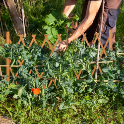 Tuteur à tomates, en bois, plantes grimpantes, non fixe, largeur extensible jusqu'à 180 cm, jardin, orange - Relaxdays