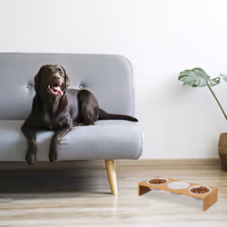 Relaxdays - Gamelles pour chiens, 3 récipients, 400 ml, compatible lave-vaisselle, bambou & céramique, nature - blanc