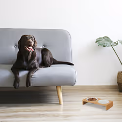 Relaxdays - Gamelles chiens, support à 2 récipients, 270 ml, compatible lave-vaisselle, bambou & céramique, nature - blanc