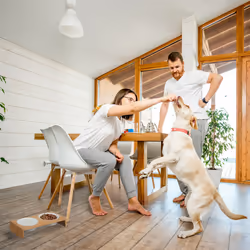 Relaxdays - Gamelles chiens, support à 2 récipients, 270 ml, compatible lave-vaisselle, bambou & céramique, nature - blanc
