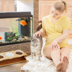 Relaxdays - Support pour chat, 3 gamelles, 400 ml chacune, bambou & céramique, compatibles lave-vaisselle, nature - blanc