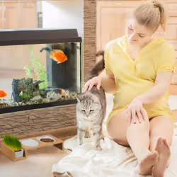 Relaxdays - Gamelles pour chats & récipient pour herbe, 2 bols en céramique de 400 ml, pour lave-vaisselle, nature - blanc