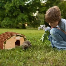 Relaxdays - Abri pour hérisson, bois & mousse, avec sol, pour le jardin, HxLxP: 18 x 34 x 17 cm, nature