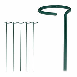 Relaxdays Tuteur à tomates en lot de 6, métal (acier), anneau, longueur : 60 cm, pour le jardin, vert foncé