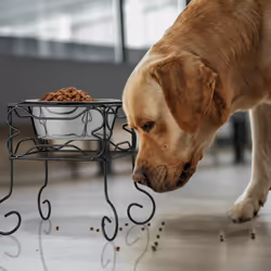 Relaxdays - Gamelle pour chien, support surélevé, 1,5 l, fer & acier inoxydable, HxLxP: 26 x 26 x 26 cm, noir-argenté