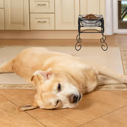 Relaxdays - Gamelle pour chien, support surélevé, 1,5 l, fer & acier inoxydable, HxLxP: 26 x 26 x 26 cm, noir-argenté