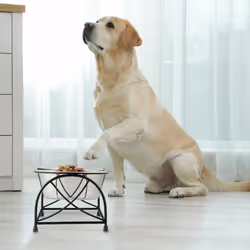 Relaxdays - Gamelles, support pour moyens & gros chiens, avec 2 bols en acier inoxydable de 2,2 l chacun, noir - argenté