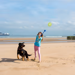 Lanceur en lot de 4, 8 balles à lancer pour votre chien, jouet amusant et stimulant, multicolore - Relaxdays