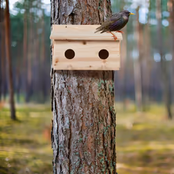 Relaxdays - Nichoir d'extérieur pour étourneaux, en bois de sapin naturel, 2x trous d'envol, à suspendre, nature