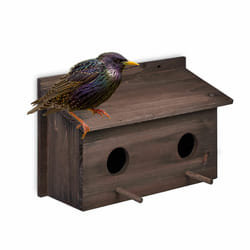 Relaxdays - Nichoir d'extérieur pour étourneaux, en bois de sapin naturel, 2x trous d'envol, à suspendre, marron