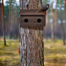 Relaxdays - Nichoir d'extérieur pour étourneaux, en bois de sapin naturel, 2x trous d'envol, à suspendre, marron