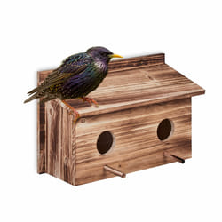 Relaxdays Nichoir d’extérieur pour étourneaux, en bois de sapin naturel, 2x trous d’envol, à suspendre, nature