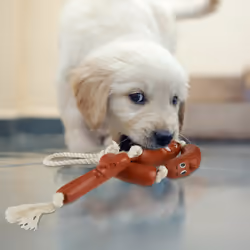 Relaxdays - Ensemble de 4 jouets pour chiots et petits chiens, saucisses malicieuses, silencieux, l : 65 cm, marron/crème