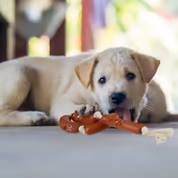 Relaxdays - Ensemble de 4 jouets pour chiots et petits chiens, saucisses malicieuses, silencieux, l : 65 cm, marron/crème