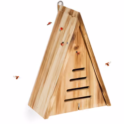 Vous cherchez un moyen de contribuer à protéger les coccinelles ? Alors cet hôtel à insectes est fait pour vous ! Avec cet hô ...