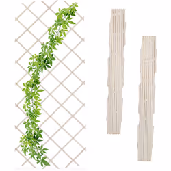 Ce tuteur en lot de 3 est un accessoire à la fois pratique et décoratif pour votre jardin. Laissez le treillis se couvrir de ...