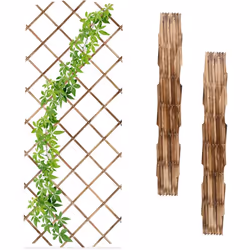 Ce tuteur en lot de 3 est un accessoire à la fois pratique et décoratif pour votre jardin. Laissez le treillis se couvrir de ...