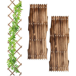 Relaxdays - Tuteur à tomates en lot de 3, extensible, pour plantes grimpantes, 180 cm, pour jardin, balcon, marron