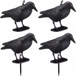 Votre jardin ne plaît pas qu’à vous, mais également aux oiseaux ? Merles, moineaux, pigeons : beaucoup d’oiseaux aiment dégus ...