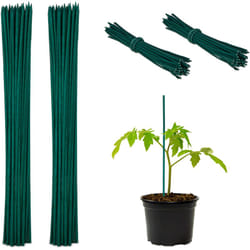 Relaxdays - Tuteur à tomates avec fil de fer, lot de 100, pour jeunes plantes, en bambou, h x d : env. 30 x 0,5 cm, vert