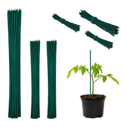 Tuteur à tomates avec fil de fer lot de 150 pour jeunes plantes en bambou H x D : env. 30 x 05 cm vert