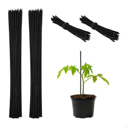 Tuteur à tomates avec fil de fer lot de 100 pour jeunes plantes en bambou H x D : env. 30 x 05 cm noir