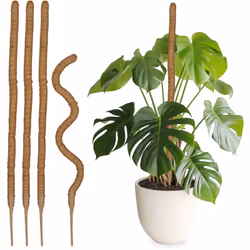 Avec ce lot de 5 supports pour plantes, vous offrez à vos plantes grimpantes une stabilité optimale. Les supports sont spécia ...