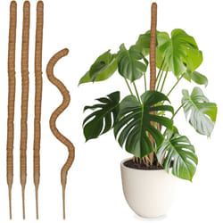 Relaxdays - Tuteurs en fibre de coco, lot de 5, pour monstera, photos et autres plantes d'intérieur, 90 cm de long, nature