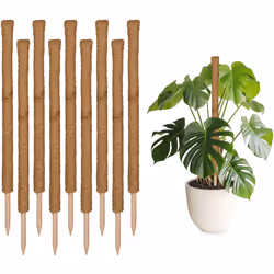 Avec ce lot de 10 supports pour plantes, vous offrez à vos plantes grimpantes une stabilité optimale. Les supports sont spéci ...