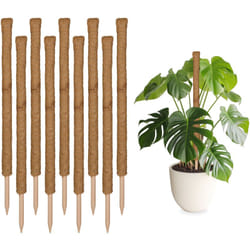 Relaxdays - Tuteurs en fibre de coco, lot de 10, pour monstera, photos et autres plantes d'intérieur, 90 cm, nature