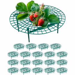 Évitez que vos fraises ne pourrissent ou ne soient dévorées par les limaces avec ce lot de 20 supports pour fraises. Les supp ...