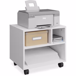 Marre des documents qui volent dans tout le bureau ? Alors ce caisson de rangement est fait pour vous ! Il vous permet d'orga ...