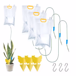 Vous vous réjouiriez davantage de vos prochaines vacances si vous saviez que vos plantes en pot se portent bien pendant cette ...