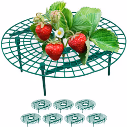 Avec les supports pour fraises, vous favorisez le processus de maturation de vos fraisiers, vous assurez de meilleures condit ...