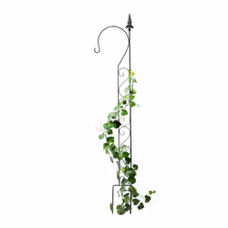 Ce tuteur noir aide à la croissance et à la tenue de vos plantes grimpantes. Il mettra en valeur votre lierre, vos roses, vot ...