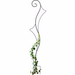 Ce tuteur noir aide à la croissance et à la tenue de vos plantes grimpantes. Il mettra en valeur votre lierre, vos roses, vot ...
