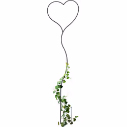 Ce tuteur noir aide à la croissance et à la tenue de vos plantes grimpantes. Il mettra en valeur votre lierre, vos roses, vot ...