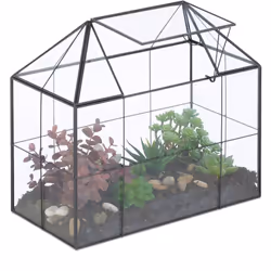 Envie de chouchouter vos succulentes ? Alors ne restez pas planté là et optez pour ce superbe terrarium ! Ce dernier confère  ...