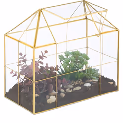 Envie de chouchouter vos succulentes ? Alors ne restez pas planté là et optez pour ce superbe terrarium ! Ce dernier confère  ...