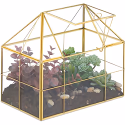 Envie de chouchouter vos succulentes ? Alors ne restez pas planté là et optez pour ce superbe terrarium ! Ce dernier confère  ...