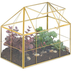 Relaxdays - Terrarium pour vos plantes, décoratif et pratique, pour le rebord de la fenêtre, 21 x 23 x 14 cm, doré