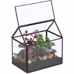Envie de chouchouter vos succulentes ? Alors ne restez pas planté là et optez pour ce superbe terrarium ! Ce dernier confère  ...