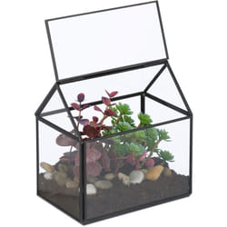 Relaxdays - Terrarium pour vos plantes, décoratif et pratique, pour le rebord de la fenêtre, 15 x 15 x 10 cm, noir
