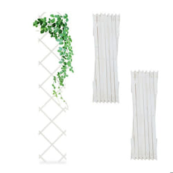 Relaxdays Tuteur à tomates en lot pratique de 3 extensible bois de sapin pour le mur 180 x 30 cm blanc