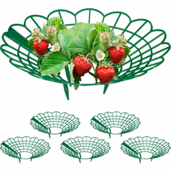 Avec les châssis pour fraises, vous favorisez le processus de maturation des plants de fraises, assurez de meilleures conditi ...
