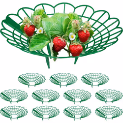 Avec les châssis pour fraises, vous favorisez le processus de maturation des plants de fraises, assurez de meilleures conditi ...