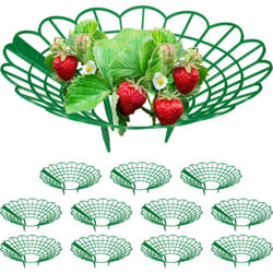 Relaxdays - Support pour fraises, set de 12, protection contre les limaces, plastique, treillis anti-pourriture, vert
